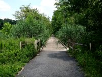 Bridge through marsh